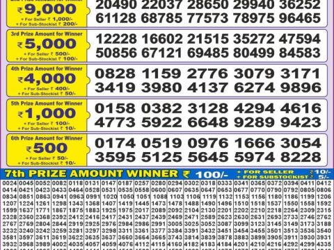 Today Lottery Sambad